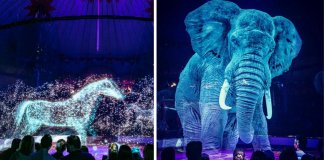 Circo alemão recusa-se a maltratar animais. Eles criam hologramas majestosos para admirá-los