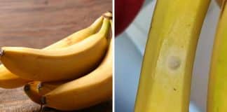 Comprador fica horrorizado ao descobrir o que são as manchas brancas em suas bananas