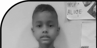 Menino de 7 anos morre após ser atacado por pitbull no quintal de casa