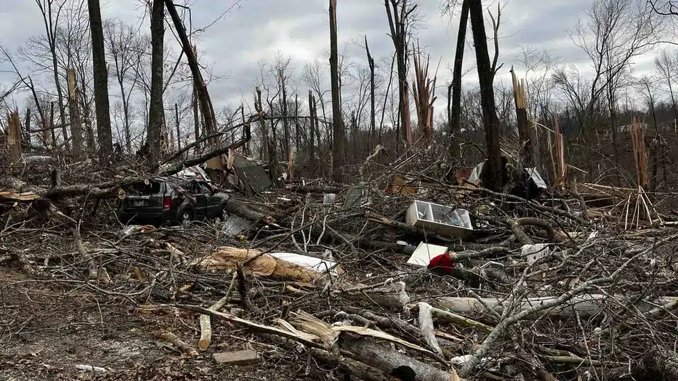 sabiaspalavras.com - Bebê é encontrado vivo em árvore depois de ser levado de sua casa por um tornado mortal