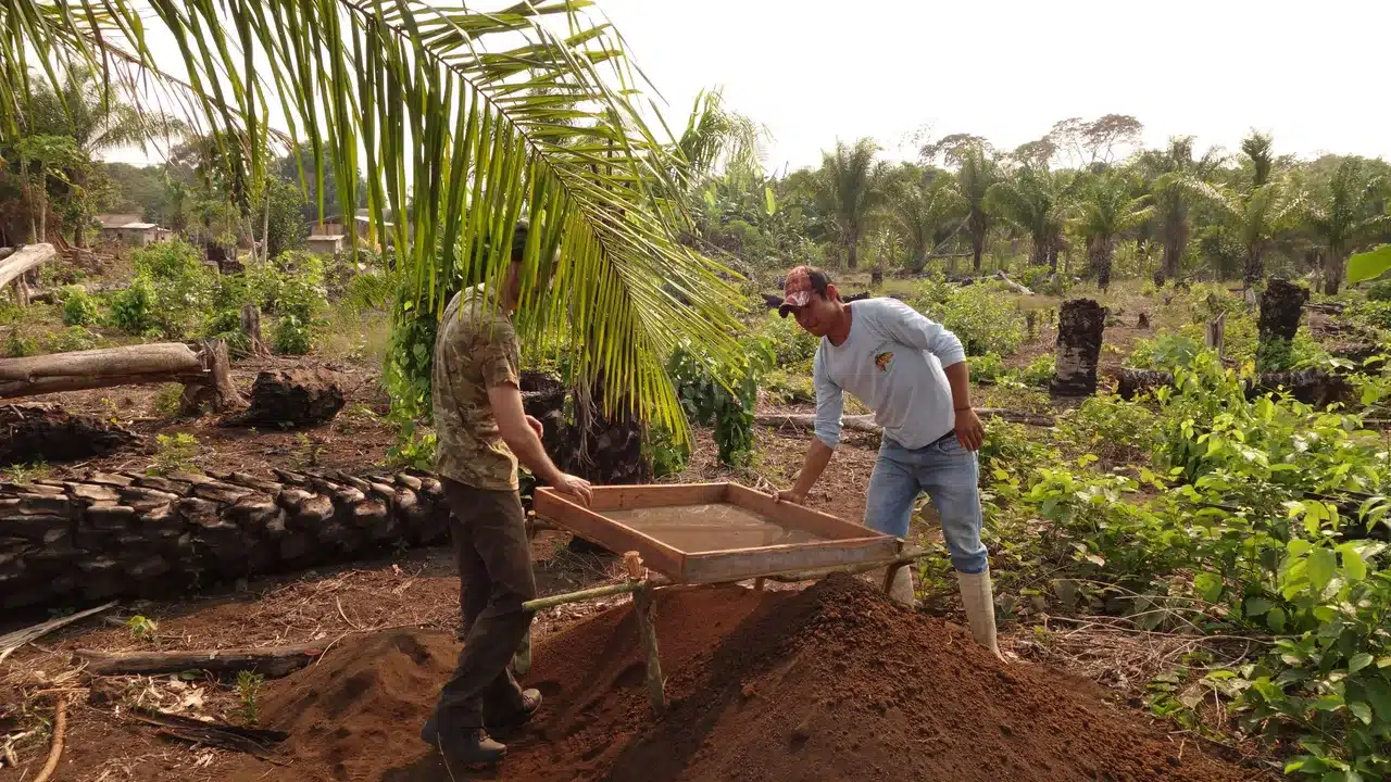 sabiaspalavras.com - Terra preta da Amazônia: segredos enterrados revela verdadeira "mina de ouro"