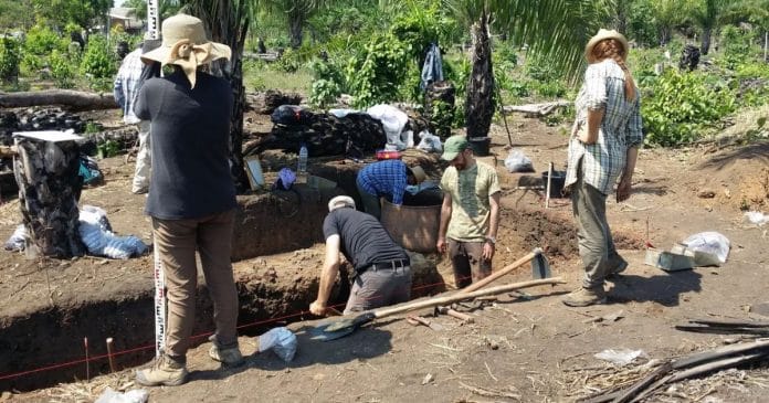 Terra preta da Amazônia: segredos enterrados revela verdadeira “mina de ouro”