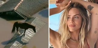 Giovanna Ewbank expressa desejo de adotar o cavalo caramelo: “Símbolo de resistência”