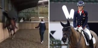 Vídeo perturbador de Charlotte Dujardin chicoteando cavalo viraliza após atleta olímpico ser banida de Paris 2024