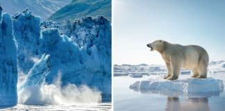 Cientistas atualizam sobre ‘Geleira do Juízo Final’ com o derretimento do gelo pelas águas mais quentes