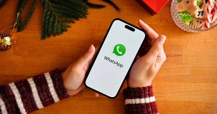 WhatsApp irá substituir números de telefone por ‘Nome de Usuário’ para  garantir mais privacidade e segurança