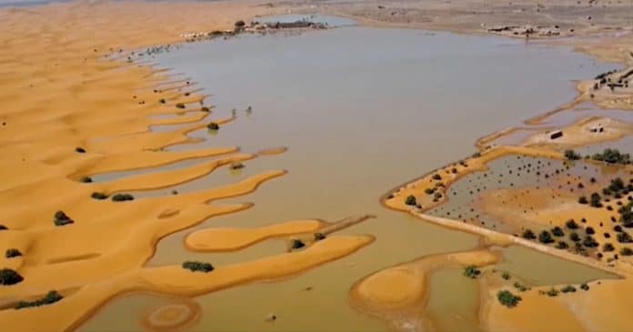 Vídeo: Deserto do Saara fica inundado depois de fortes chuvas – com mais água do que se via há décadas