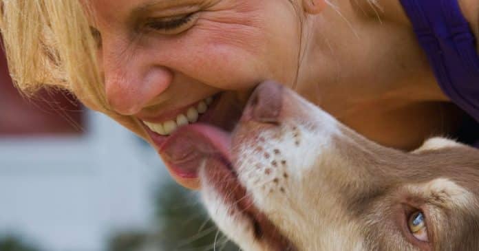 É seguro deixar seu cachorro lamber seu rosto? Aqui está o que os veterinários dizem