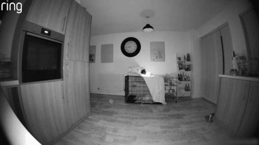 sabiaspalavras.com - 'Fantasma' é capturado em câmera de campainha com detalhes assustadores - enquanto um orbe misterioso flutua pela casa