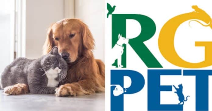 Governo brasileiro lança “RG Pet” com identidade única para cães e gatos; saiba como obter