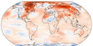 O ano de 2024 é considerado o mais quente registrado, alertam cientistas