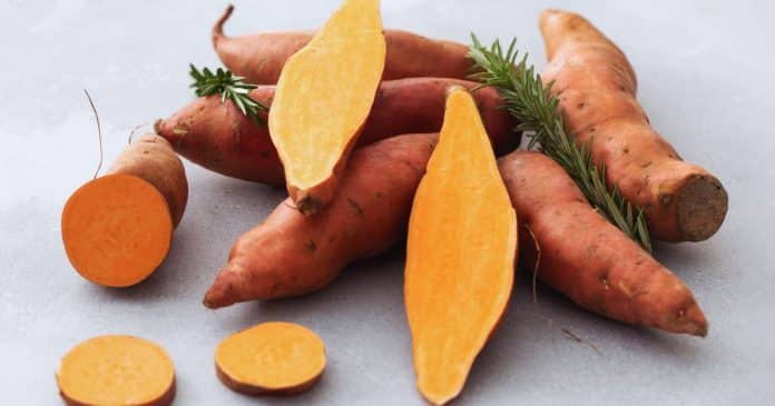 Por que a batata-doce deve ser a “estrela” da sua alimentação? Saiba mais